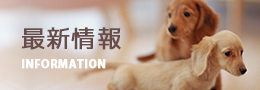 information 最新情報