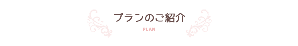 プランのご紹介